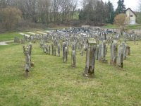 Sortie Phalsbourg CV Wingen 28 02 2016 (3)